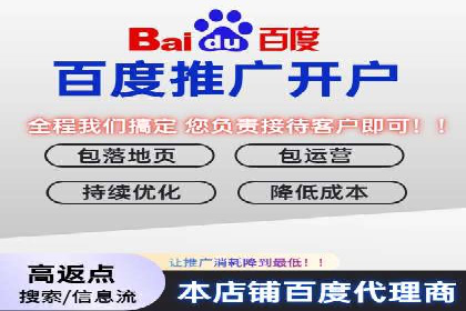 百度竞价排名策略解析及实战案例